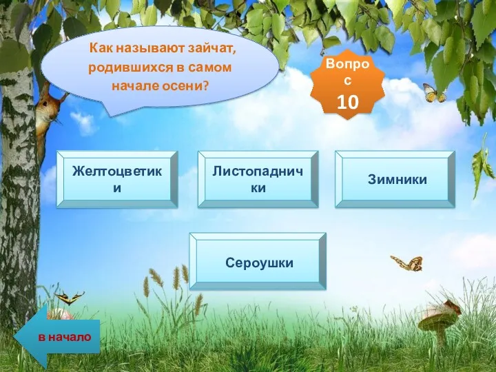 Как называют зайчат, родившихся в самом начале осени? Желтоцветики Листопаднички Зимники Сероушки Вопрос 10 в начало