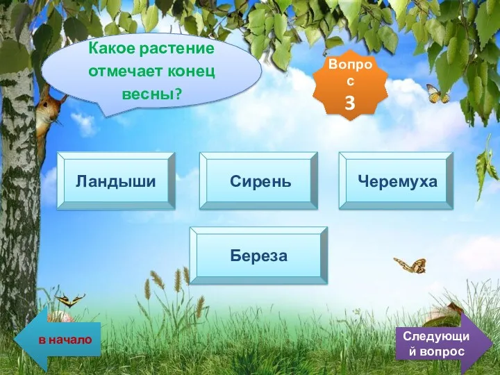 Какое растение отмечает конец весны? Ландыши Сирень Черемуха Береза Вопрос 3 в начало Следующий вопрос