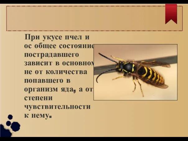 При укусе пчел и ос общее состояние пострадавшего зависит в