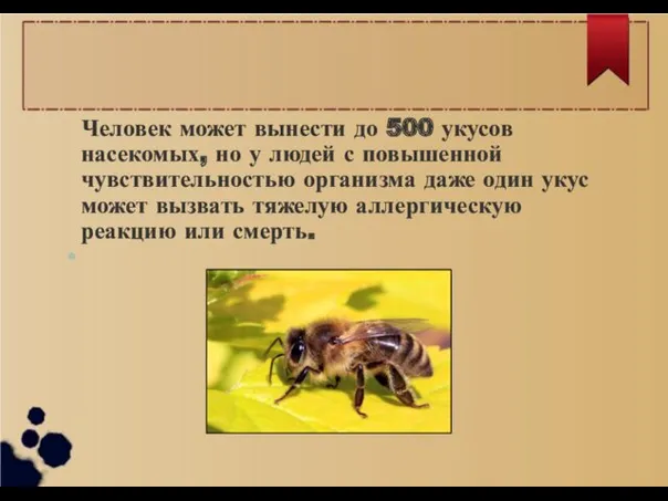 Человек может вынести до 500 укусов насекомых, но у людей