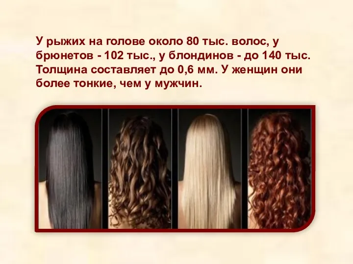 У рыжих на голове около 80 тыс. волос, у брюнетов - 102 тыс.,