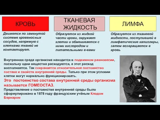 КРОВЬ ТКАНЕВАЯ ЖИДКОСТЬ ЛИМФА Движется по замкнутой системе кровеносных сосудов,