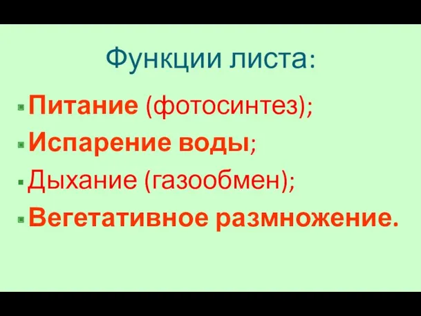 Функции листа: Питание (фотосинтез); Испарение воды; Дыхание (газообмен); Вегетативное размножение.