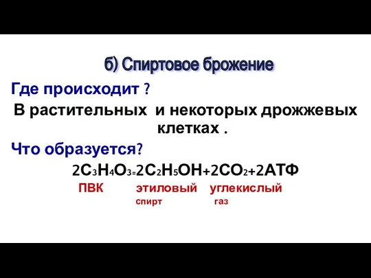 Где происходит ? В растительных и некоторых дрожжевых клетках .