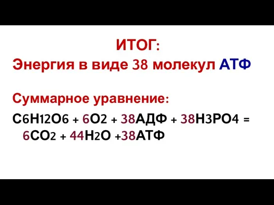 ИТОГ: Энергия в виде 38 молекул АТФ Суммарное уравнение: С6Н12О6