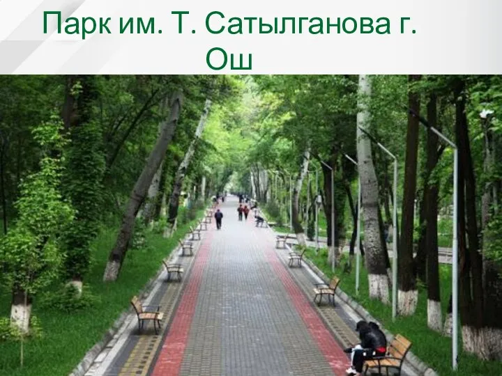 Парк им. Т. Сатылганова г.Ош