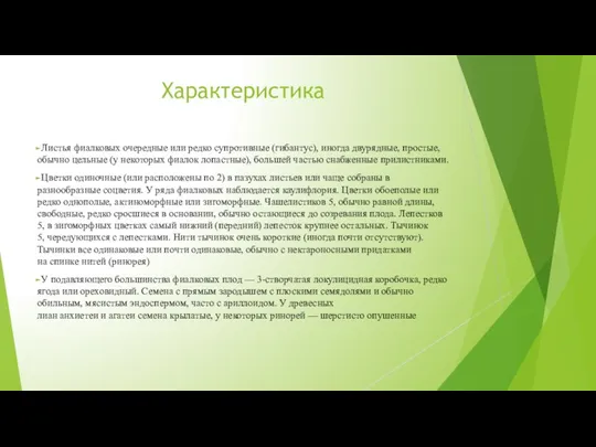 Характеристика Листья фиалковых очередные или редко супротивные (гибантус), иногда двурядные,