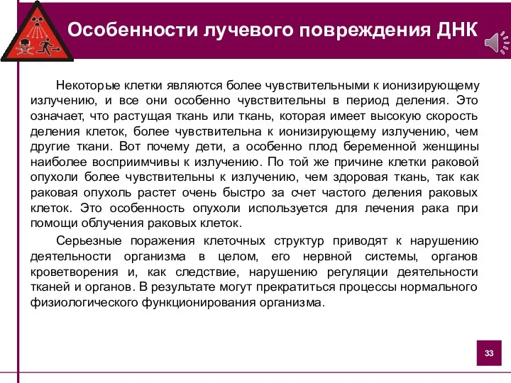 Особенности лучевого повреждения ДНК Некоторые клетки являются более чувствительными к