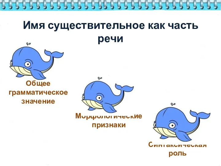 Имя существительное как часть речи Морфологические признаки Синтаксическая роль Общее грамматическое значение