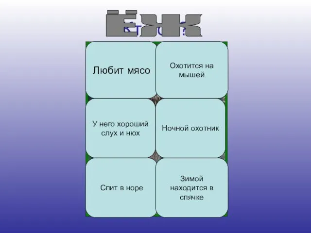 Кто он? Любит мясо Охотится на мышей У него хороший