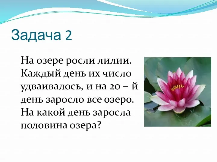 Задача 2 На озере росли лилии. Каждый день их число