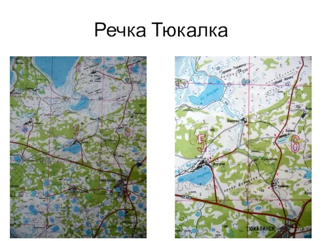 Речка Тюкалка