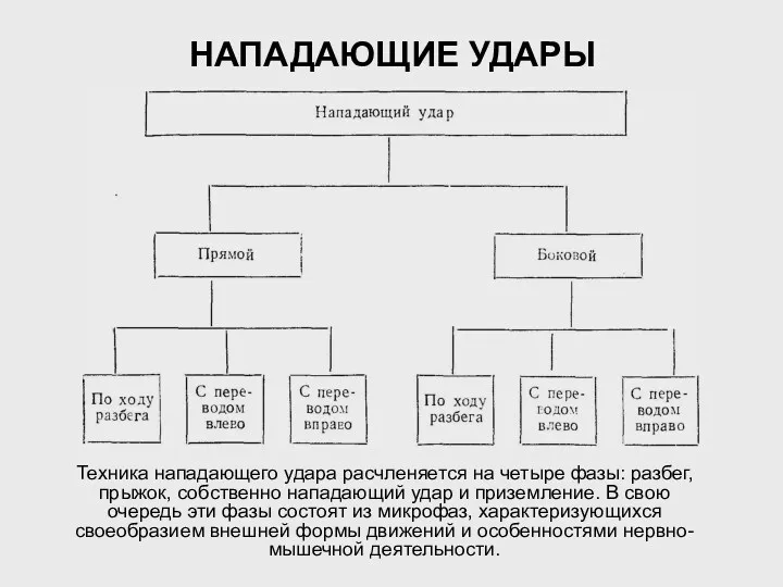 НАПАДАЮЩИЕ УДАРЫ Техника нападающего удара расчленяется на четыре фазы: разбег,