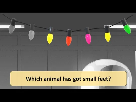 Which animal has got small feet?