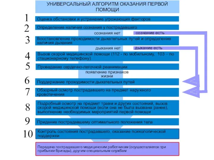 Оценка обстановки и устранение угрожающих факторов Определение наличия сознания у