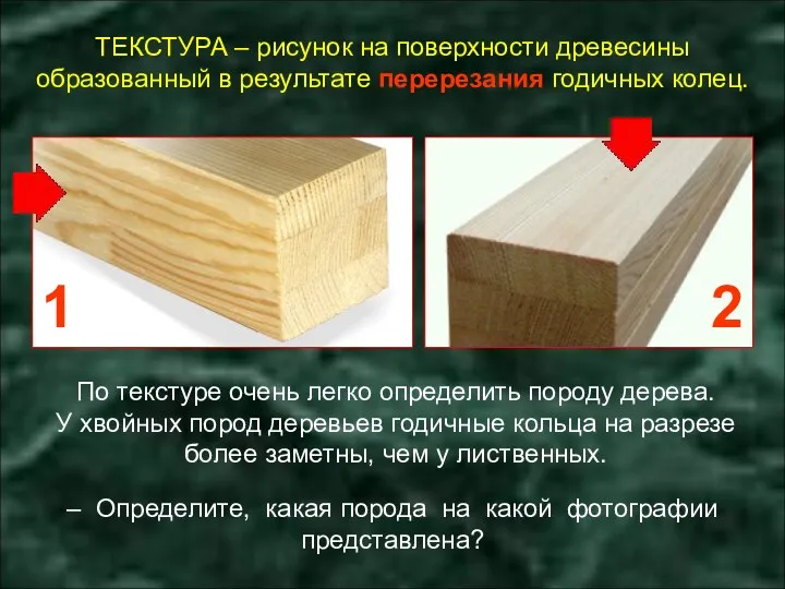 ТЕКСТУРА – рисунок на поверхности древесины образованный в результате перерезания