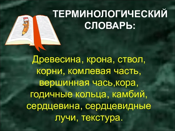 Древесина, крона, ствол, корни, комлевая часть, вершинная чась,кора, годичные кольца,