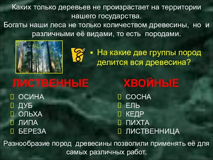 Разнообразие пород древесины позволили применять её для самых различных работ.