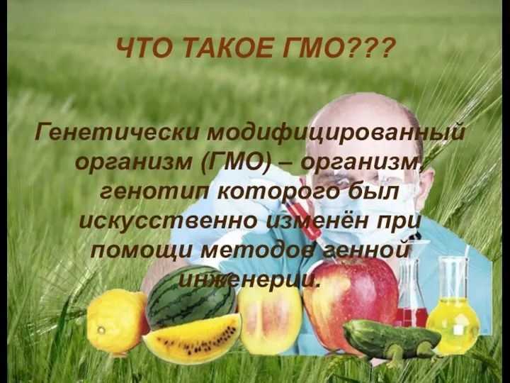 ЧТО ТАКОЕ ГМО??? Генетически модифицированный организм (ГМО) – организм, генотип