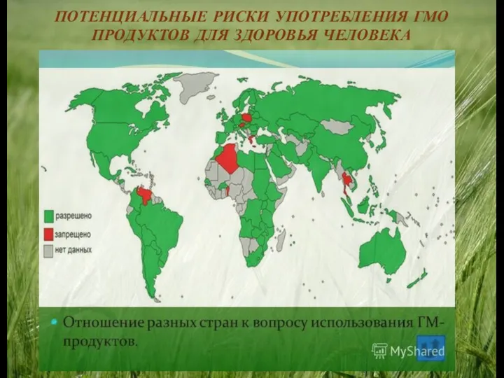 ПОТЕНЦИАЛЬНЫЕ РИСКИ УПОТРЕБЛЕНИЯ ГМО ПРОДУКТОВ ДЛЯ ЗДОРОВЬЯ ЧЕЛОВЕКА