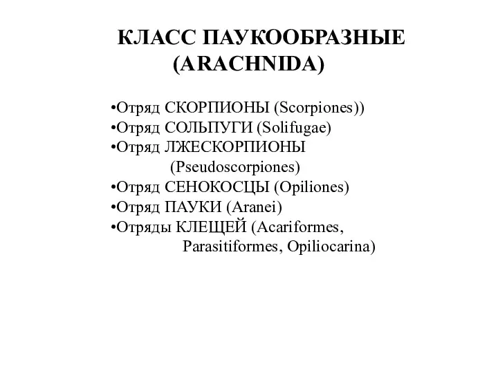 КЛАСС ПАУКООБРАЗНЫЕ (ARACHNIDA) Отряд СКОРПИОНЫ (Scorpiones)) Отряд СОЛЬПУГИ (Solifugae) Отряд