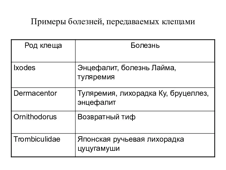 Примеры болезней, передаваемых клещами