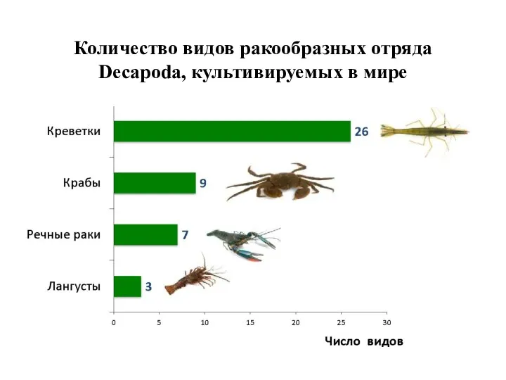 Количество видов ракообразных отряда Decapoda, культивируемых в мире