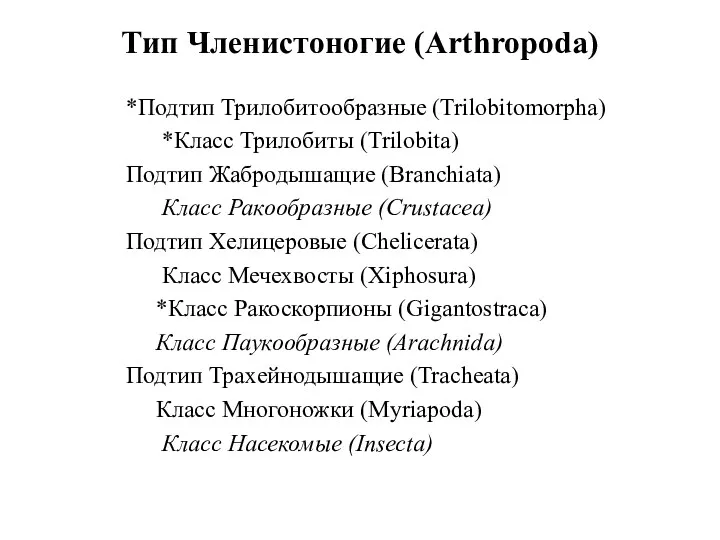 Тип Членистоногие (Arthropoda) *Подтип Трилобитообразные (Trilobitomorpha) *Класс Трилобиты (Trilobita) Подтип