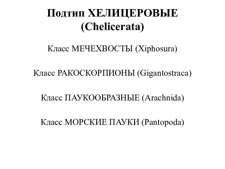 Подтип ХЕЛИЦЕРОВЫЕ (Chelicerata) Класс МЕЧЕХВОСТЫ (Xiphosura) Класс РАКОСКОРПИОНЫ (Gigantostraca) Класс ПАУКООБРАЗНЫЕ (Arachnida) Класс МОРСКИЕ ПАУКИ (Pantopoda)