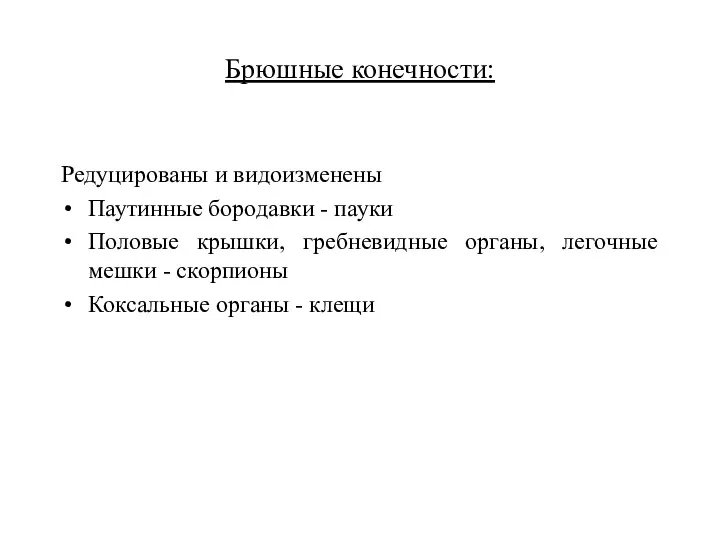 Брюшные конечности: Редуцированы и видоизменены Паутинные бородавки - пауки Половые