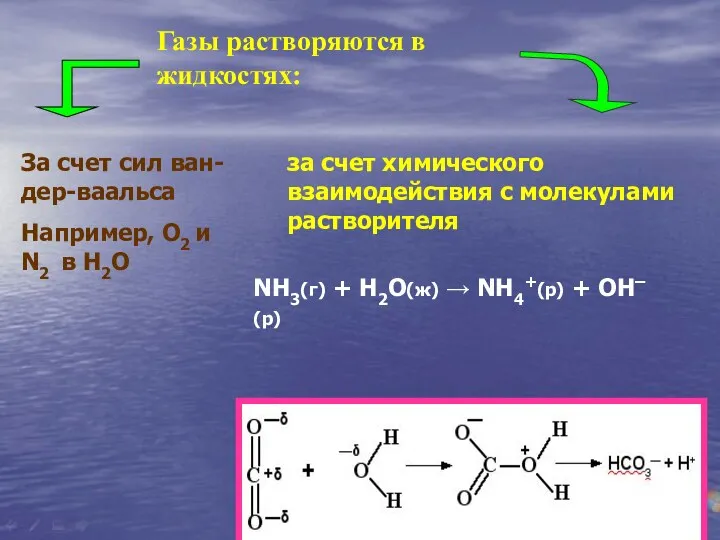 Газы растворяются в жидкостях: За счет сил ван-дер-ваальса Например, О2