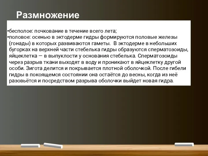 Размножение бесполое: почкование в течение всего лета; половое: осенью в