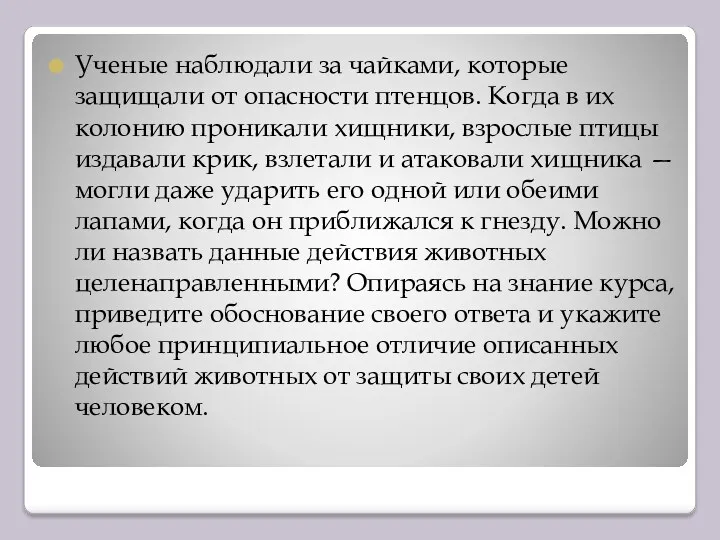 Ученые наблюдали за чайками, которые защищали от опасности птенцов. Когда