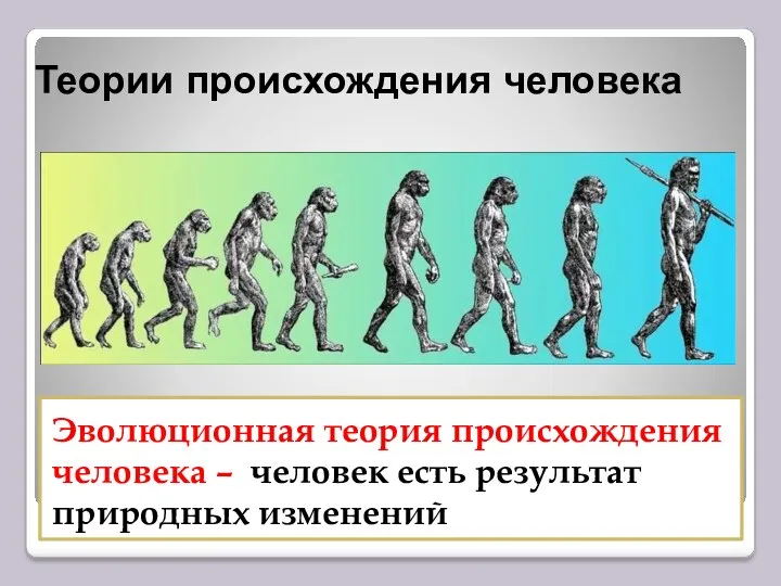 Теории происхождения человека Эволюционная теория происхождения человека – человек есть результат природных изменений