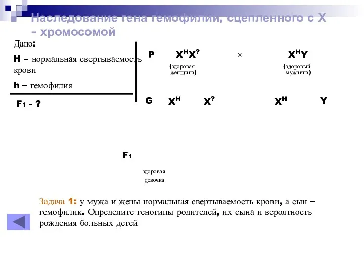 Наследование гена гемофилии, сцепленного с Х - хромосомой Дано: H