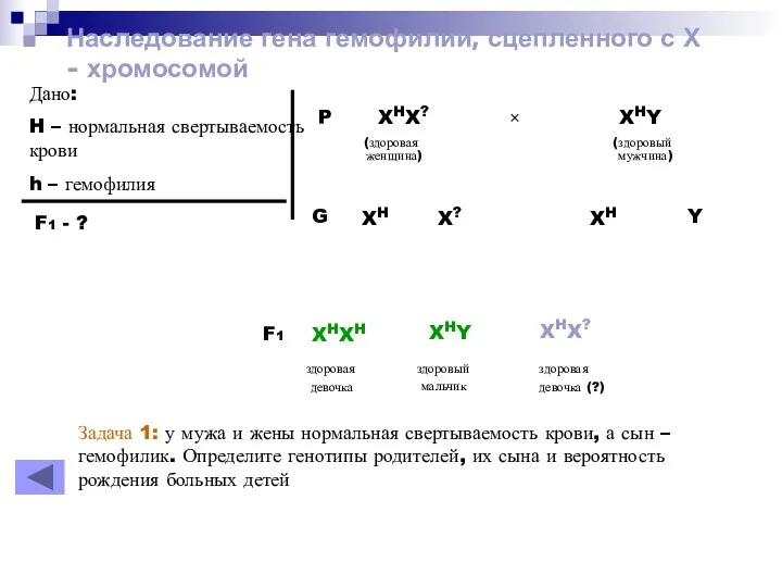 Наследование гена гемофилии, сцепленного с Х - хромосомой Дано: H