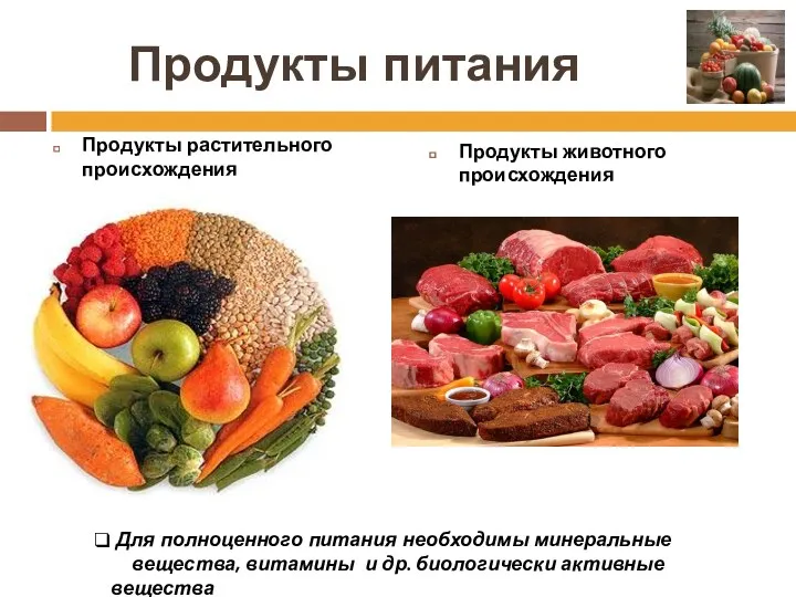Продукты питания Продукты растительного происхождения Продукты животного происхождения Для полноценного