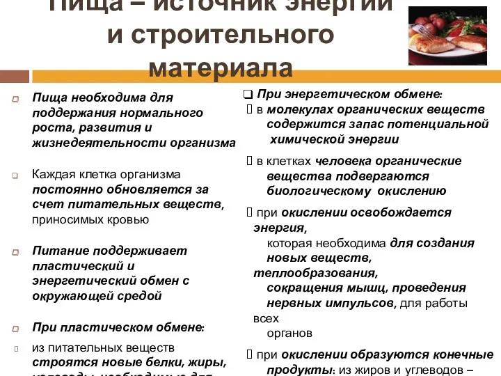 Пища – источник энергии и строительного материала Пища необходима для