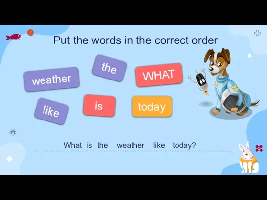 WHAT is Put the words in the correct order the