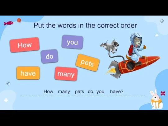 How many Put the words in the correct order pets