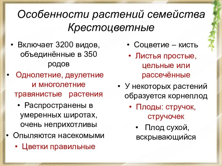 Особенности растений семейства Крестоцветные Включает 3200 видов, объединённые в 350