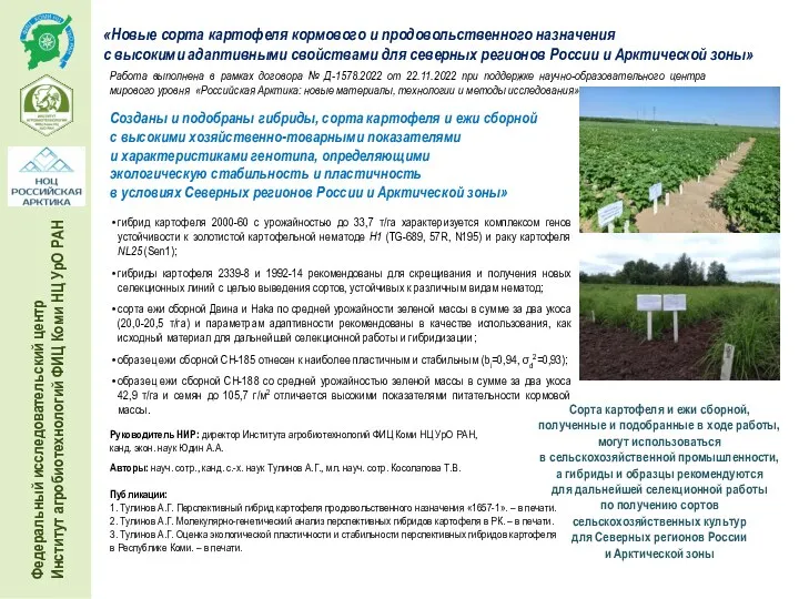 «Новые сорта картофеля кормового и продовольственного назначения с высокими адаптивными