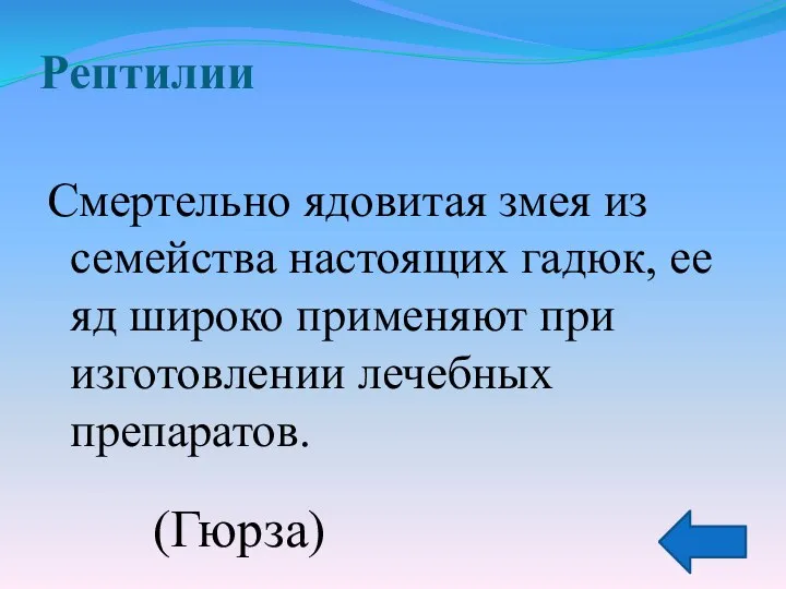 Рептилии Смертельно ядовитая змея из семейства настоящих гадюк, ее яд