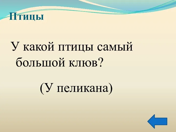 Птицы У какой птицы самый большой клюв? (У пеликана)