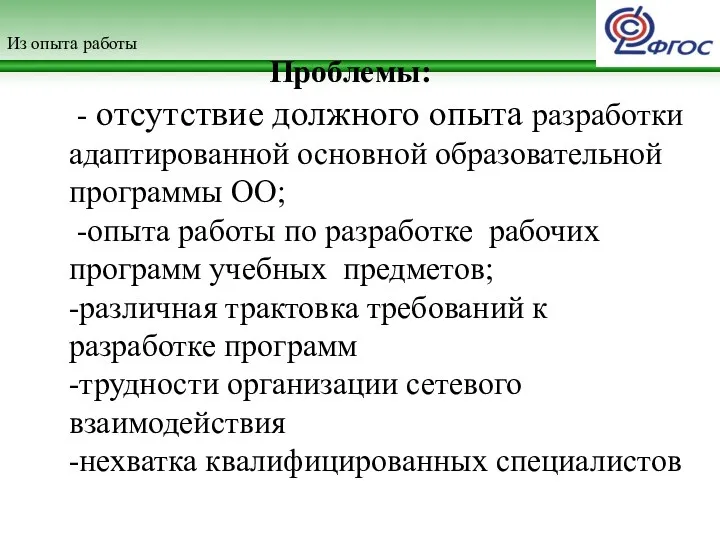 Из опыта работы Проблемы: - отсутствие должного опыта разработки адаптированной