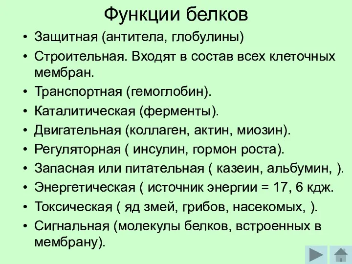 Функции белков Защитная (антитела, глобулины) Строительная. Входят в состав всех