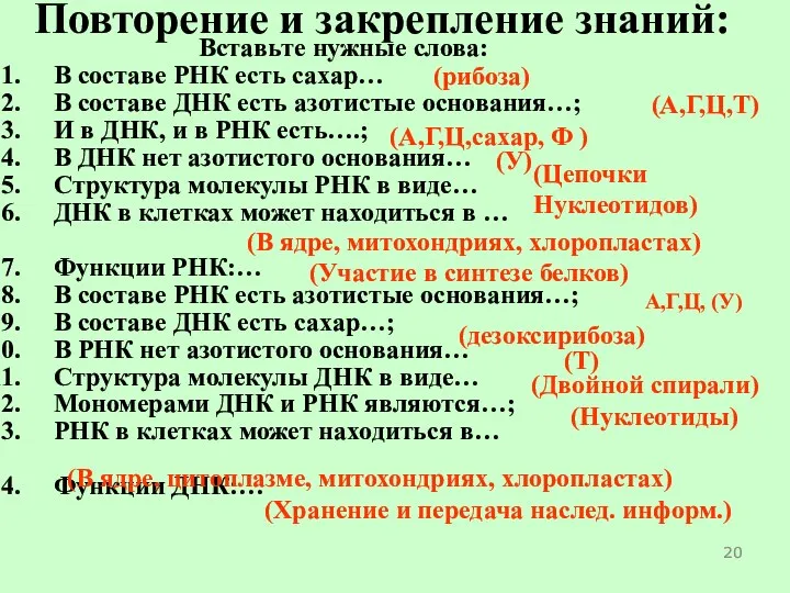 Повторение и закрепление знаний: Вставьте нужные слова: В составе РНК