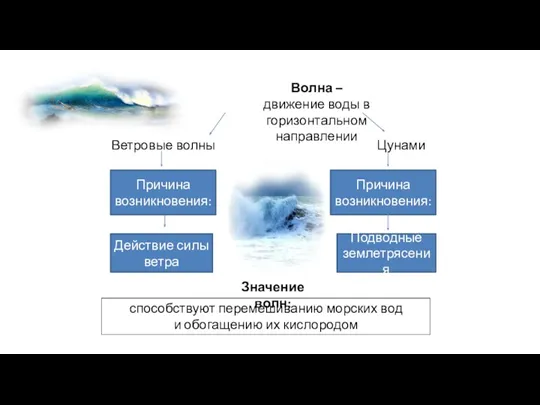 Волна – движение воды в горизонтальном направлении Ветровые волны Цунами