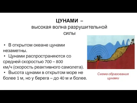 ЦУНАМИ – высокая волна разрушительной силы Схема образования цунами В