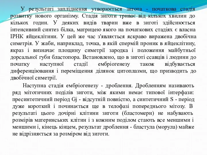 У результаті запліднення утворюється зигота - початкова стадія розвитку нового